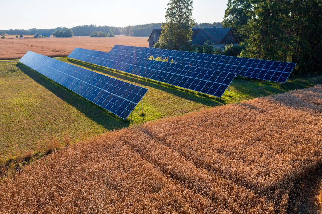Un exemple de projet agrivoltaïque. Photo d'illustration. © Aimur