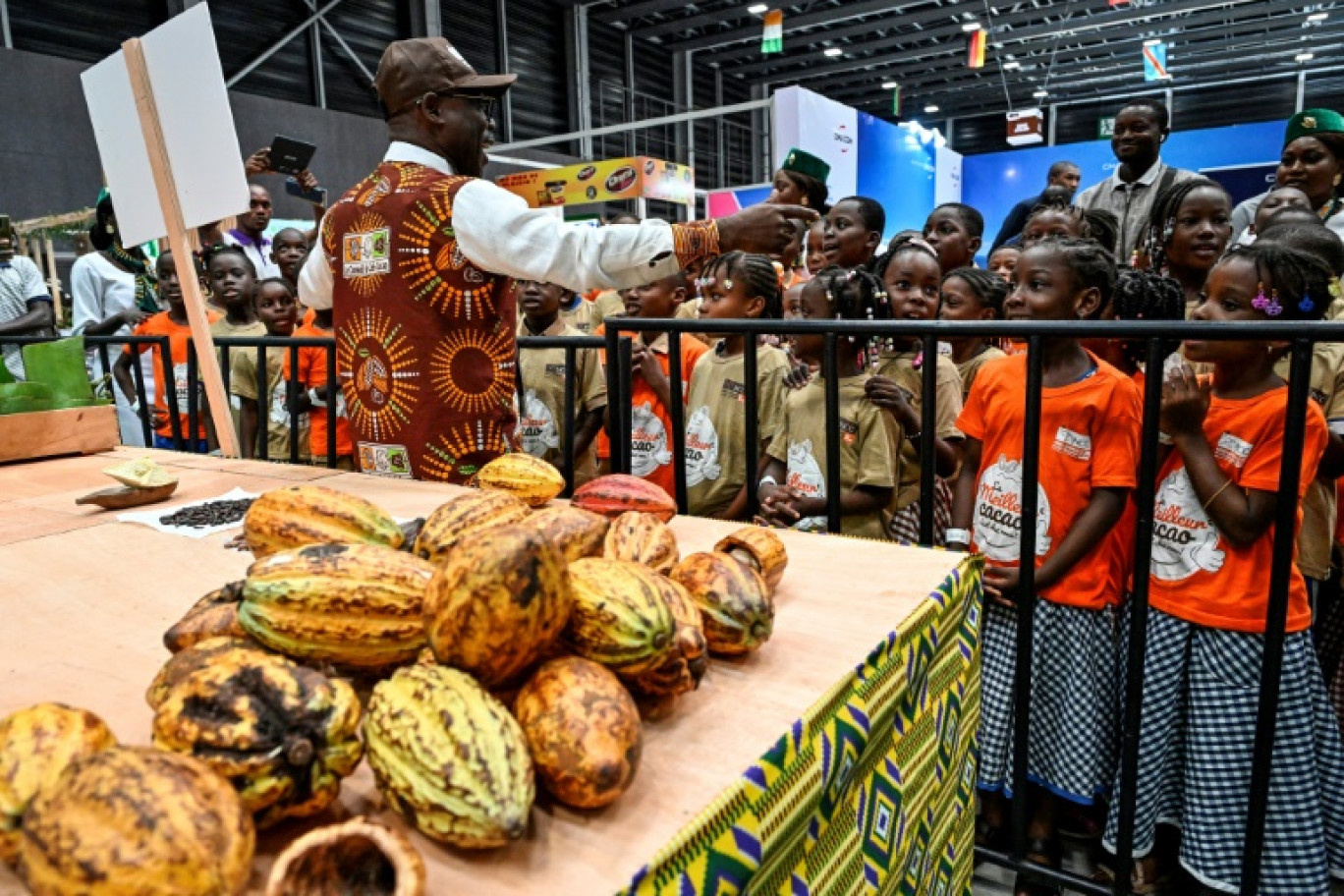 Ecoliers réunis devant des cabosses de cacao, lors d'une exposition pour la journée nationale du chocolat, à Abidjan, en Côte d'Ivoire, le 30 septembre 2024. © Sia KAMBOU