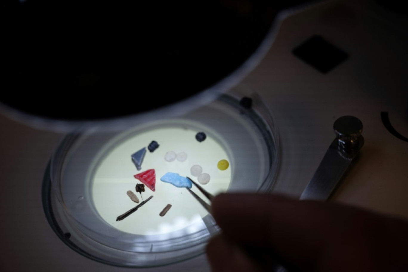 Des microplastiques observés au microscope dans un laboratoire de l'université britannique de Plymouth,
en février 2023, en Angleterre © Ben Stansall