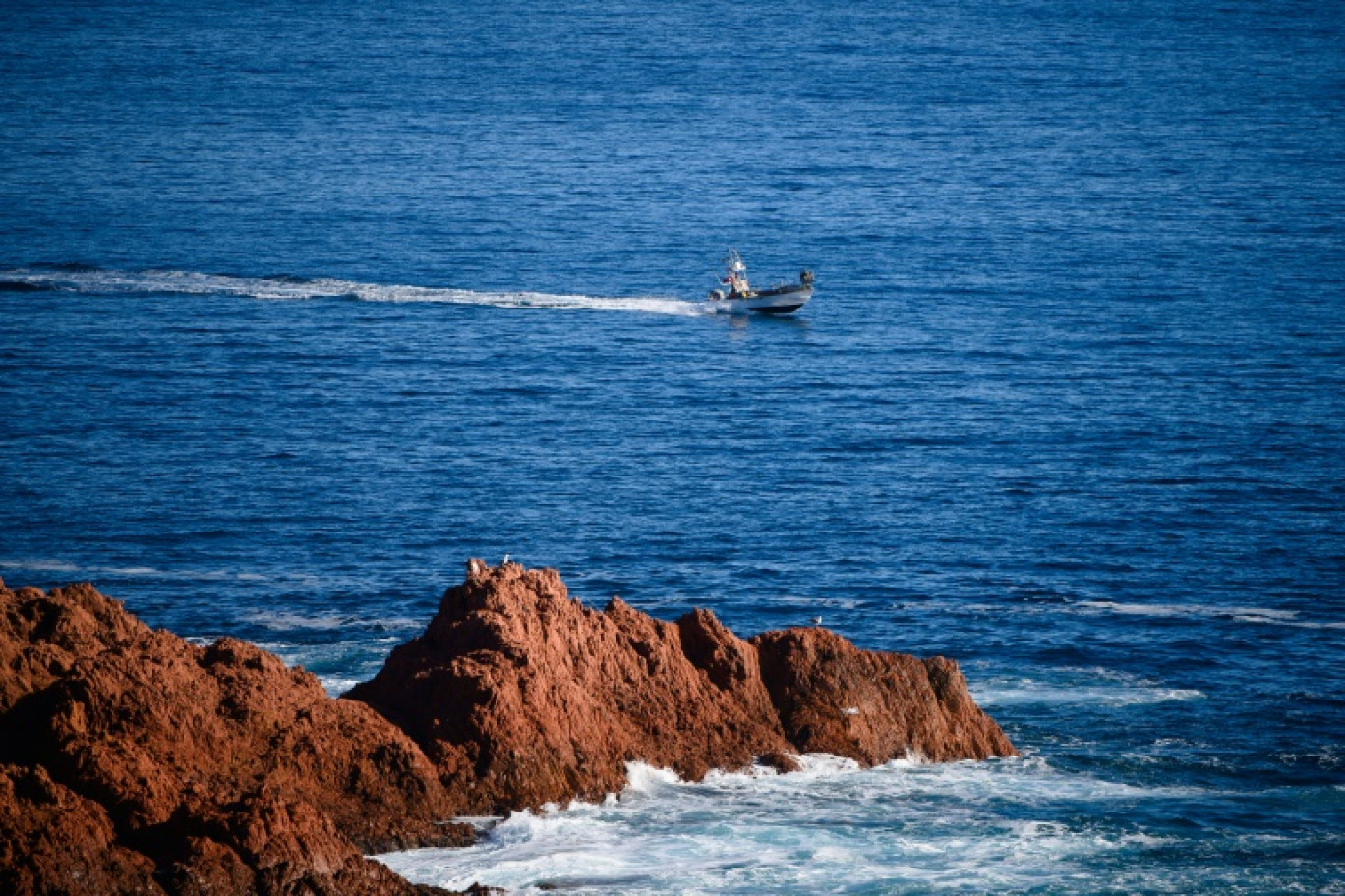 Un bateau de pêche navigue sur les eaux du cap Roux, à Saint-Raphaël (sud-est), le 24 novembre 2022 © CLEMENT MAHOUDEAU