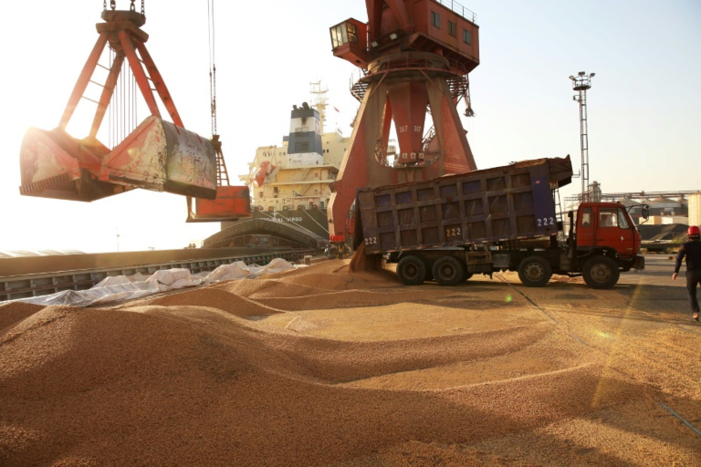 Déchargement de soja dans le port chinois de Nantong en 2018 © -