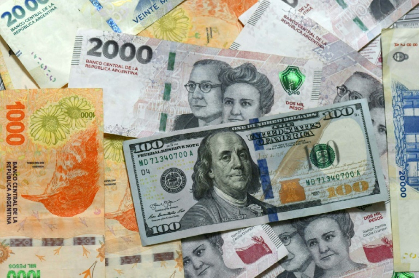 Des billets de pesos argentines et un billet de 100 dollars, le 11 avril 2025 à Buenos Aires © LUIS ROBAYO