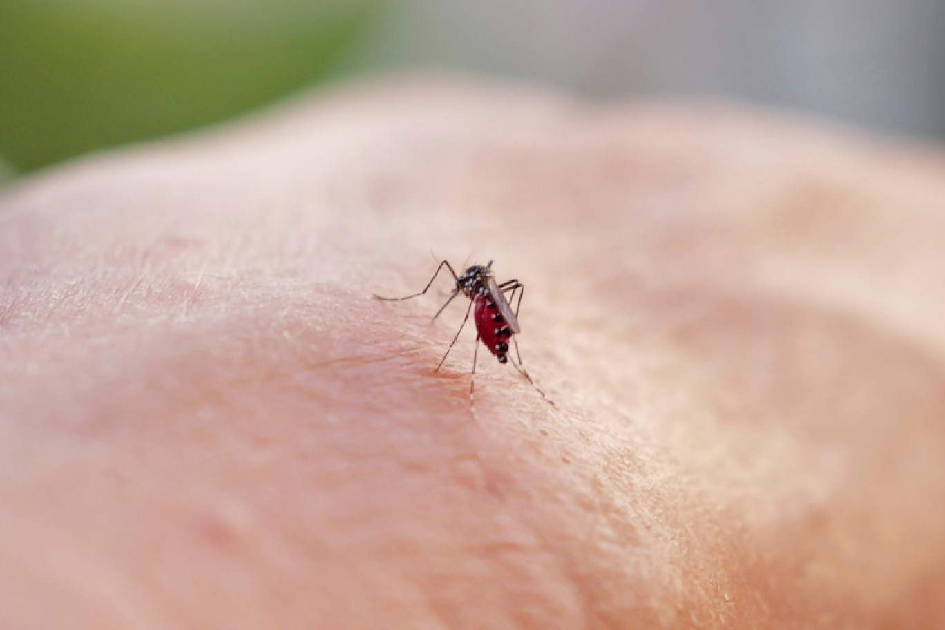 Du 24 au 30 mars, 6.289 cas ont été confirmés, selon le dernier bulletin de Santé publique France, portant à 27.521 le nombre de cas totaux © Valery HACHE