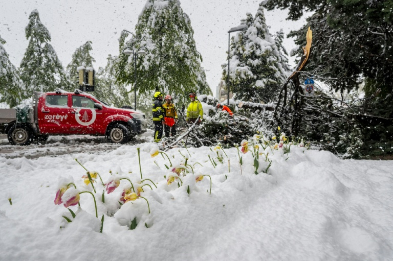 Des pompiers dégagent un arbre tombé sur une route dans les Alpes suisses le 17 avril 2025 © Fabrice COFFRINI