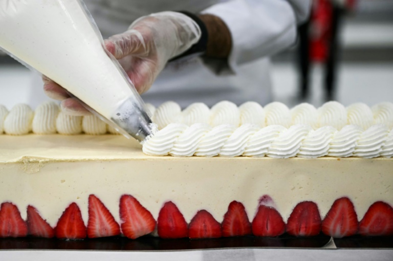 Un pâtissier travaille sur le plus grand fraisier du monde, d'une longueur de 121,88 m, à Argenteuil, le 23 avril 2025 © Julie SEBADELHA
