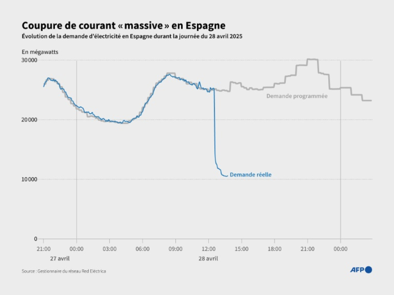 Un passante promène son chien en s'éclairant avec son téléphone, le 28 avril 2025 à Vigo, dans le nord-ouest de l'Espagne, pendant une panne d'électricité géante © MIGUEL RIOPA