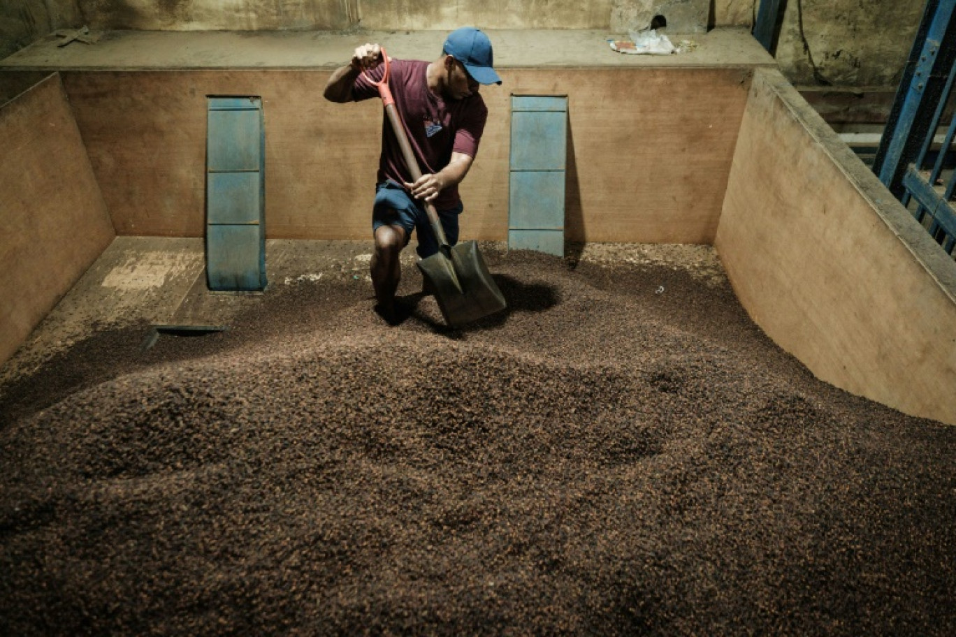 Un employé fait passer des clous de girofle dans une machine à tamiser pour éliminer les impuretés dans un entrepôt sur l'île de Ternate,le 11 avril 2025 en Indonésie © Yasuyoshi CHIBA