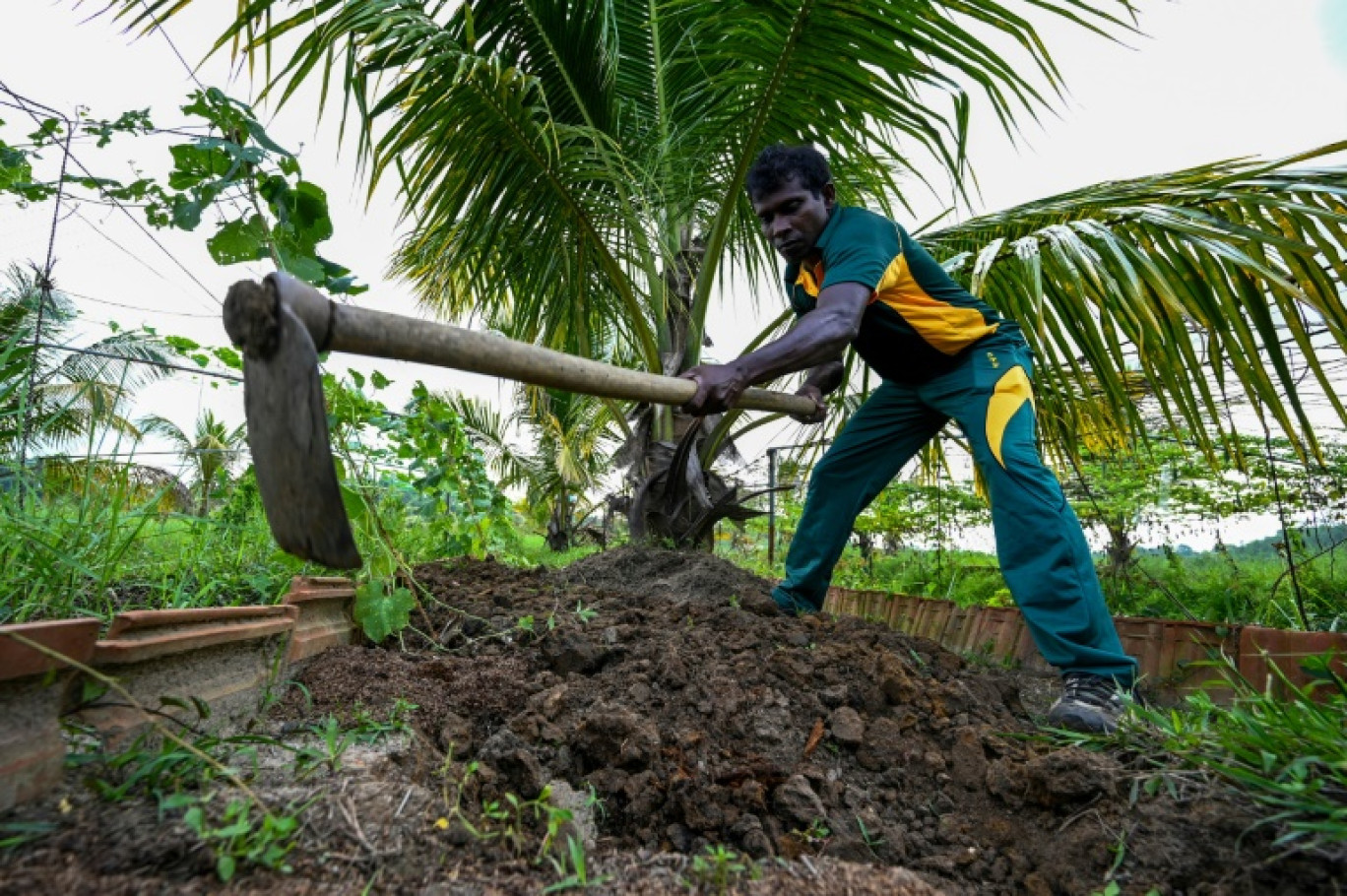 Un soldat de la Force opérationnelle spéciale sri-lankaise (STF) travaille dans une plantation à Katukurunda pour remettre en culture des champs pollués par le sel de la mer, le 28 mars 2025 au Sri Lanka © Ishara S. KODIKARA