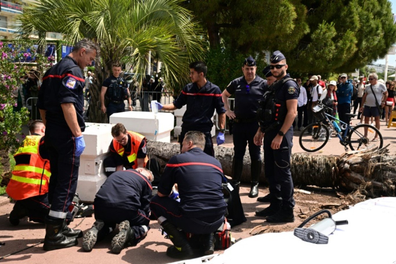Des pompiers portent secours à un passant blessé après la chute d'un palmier sur la Croisette pendant le 78e Festival de Cannes, le 17 mai 2025 dans le sud de la France © Miguel MEDINA