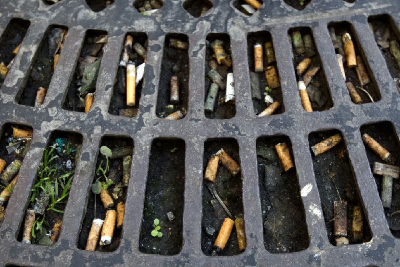 La ville de Paris lance un plan de lutte contre les mégots afin que ses agents de propreté n'aient plus à en ramasser 4 à 5 millions chaque jour © JOEL SAGET