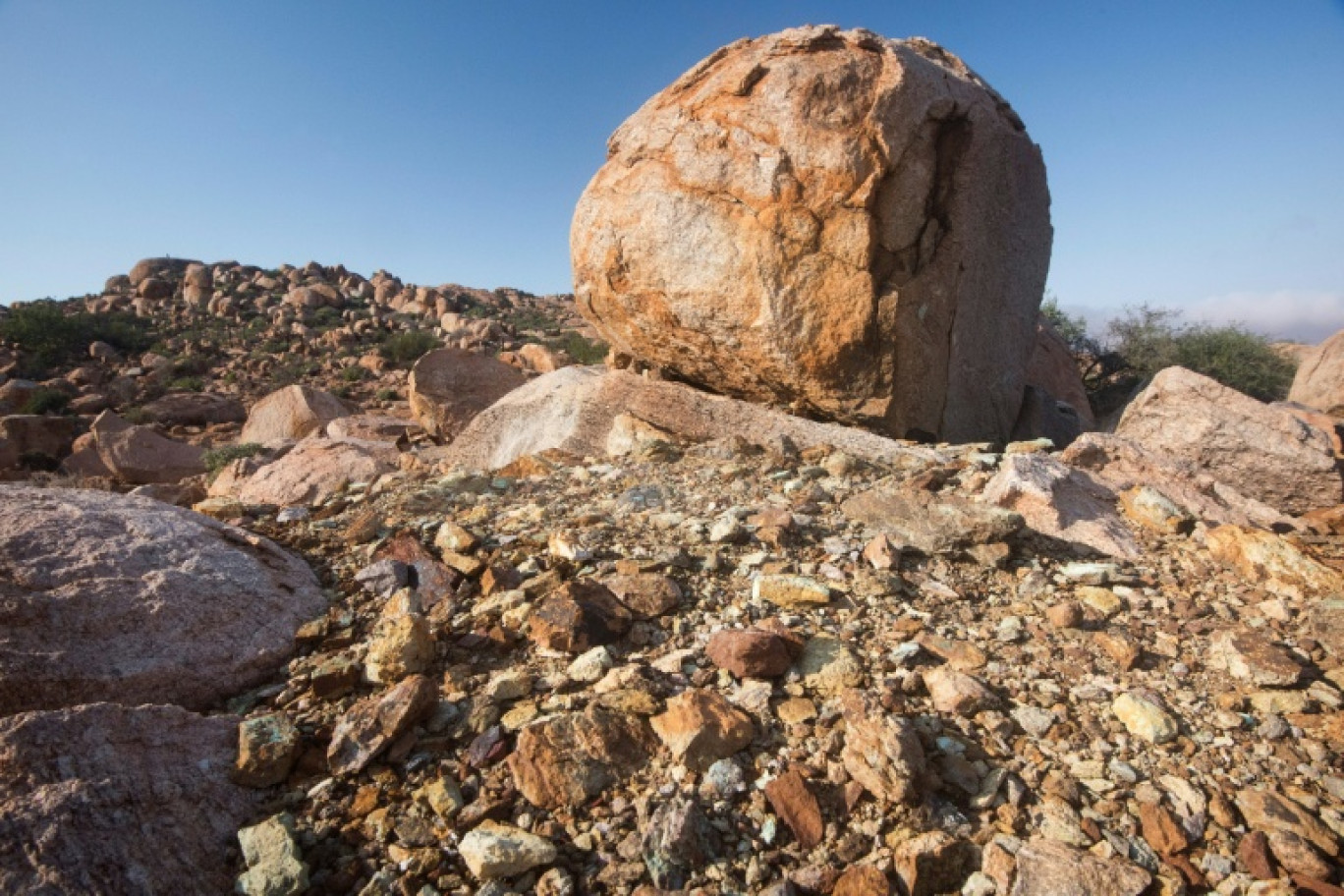 Une mine de terres rares en Afrique du Sud, le 29 juillet 2019 © RODGER BOSCH