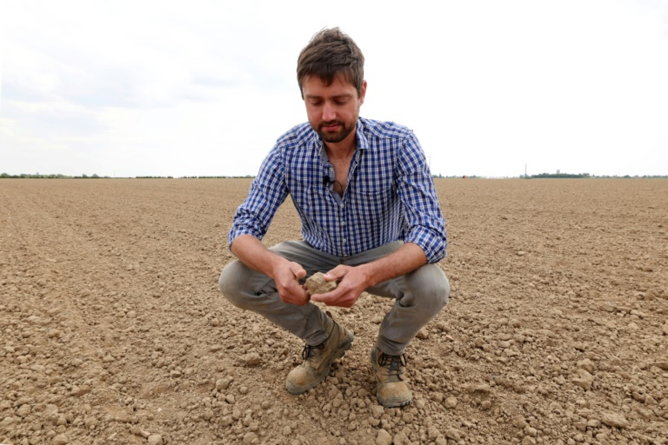 Adrien Mastain, maraîcher, dans un champ desséché à Carnin (Nord), le 20 mai 2025 © FRANCOIS LO PRESTI