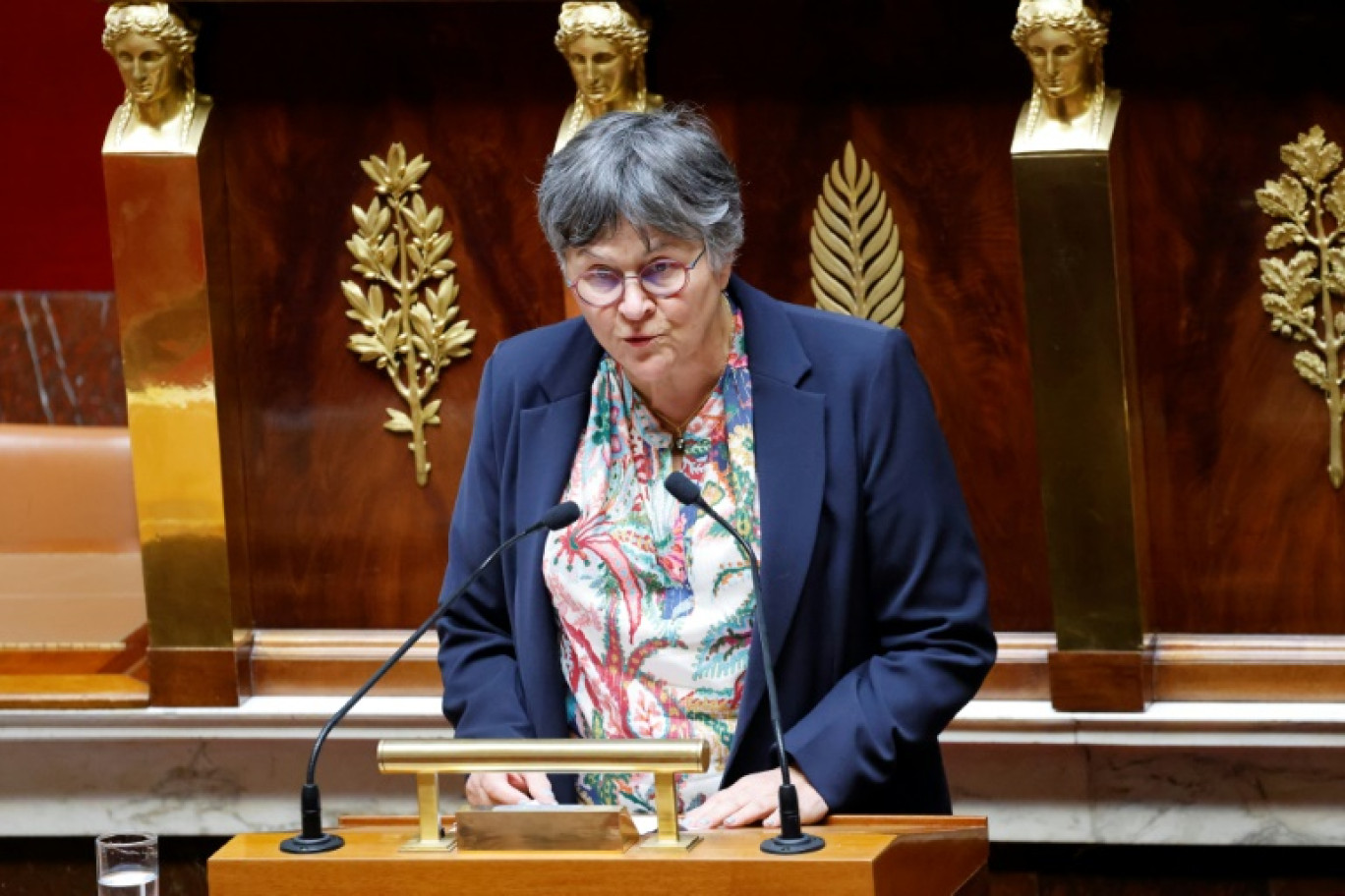 La députée écologiste Dominique Voynet à l'Assemblée Nationale Paris le 28 avril 2025 © Ludovic MARIN