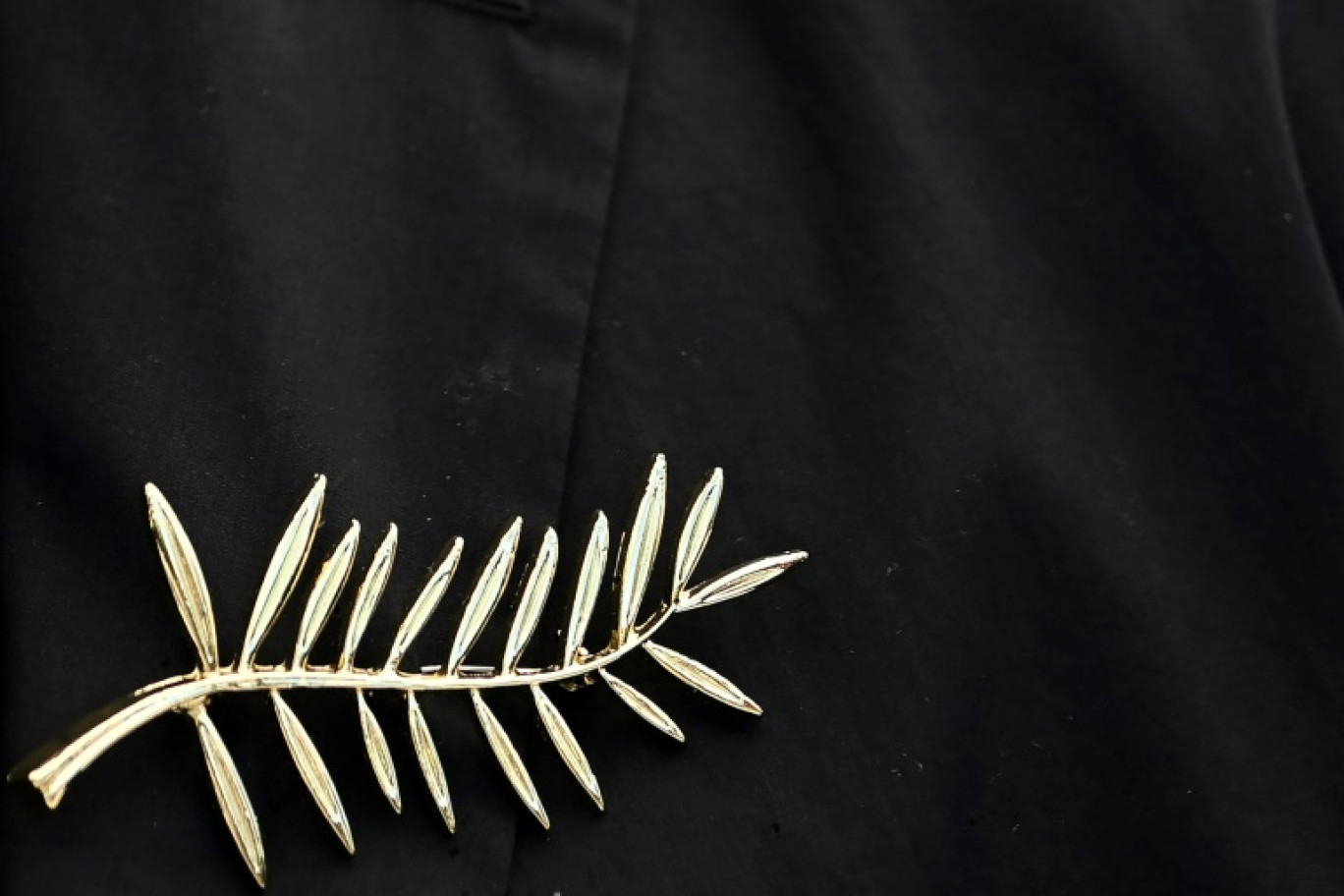 Une épingle en forme de Palme d'or, le 21 mai 2025 au festival de Cannes © Miguel MEDINA