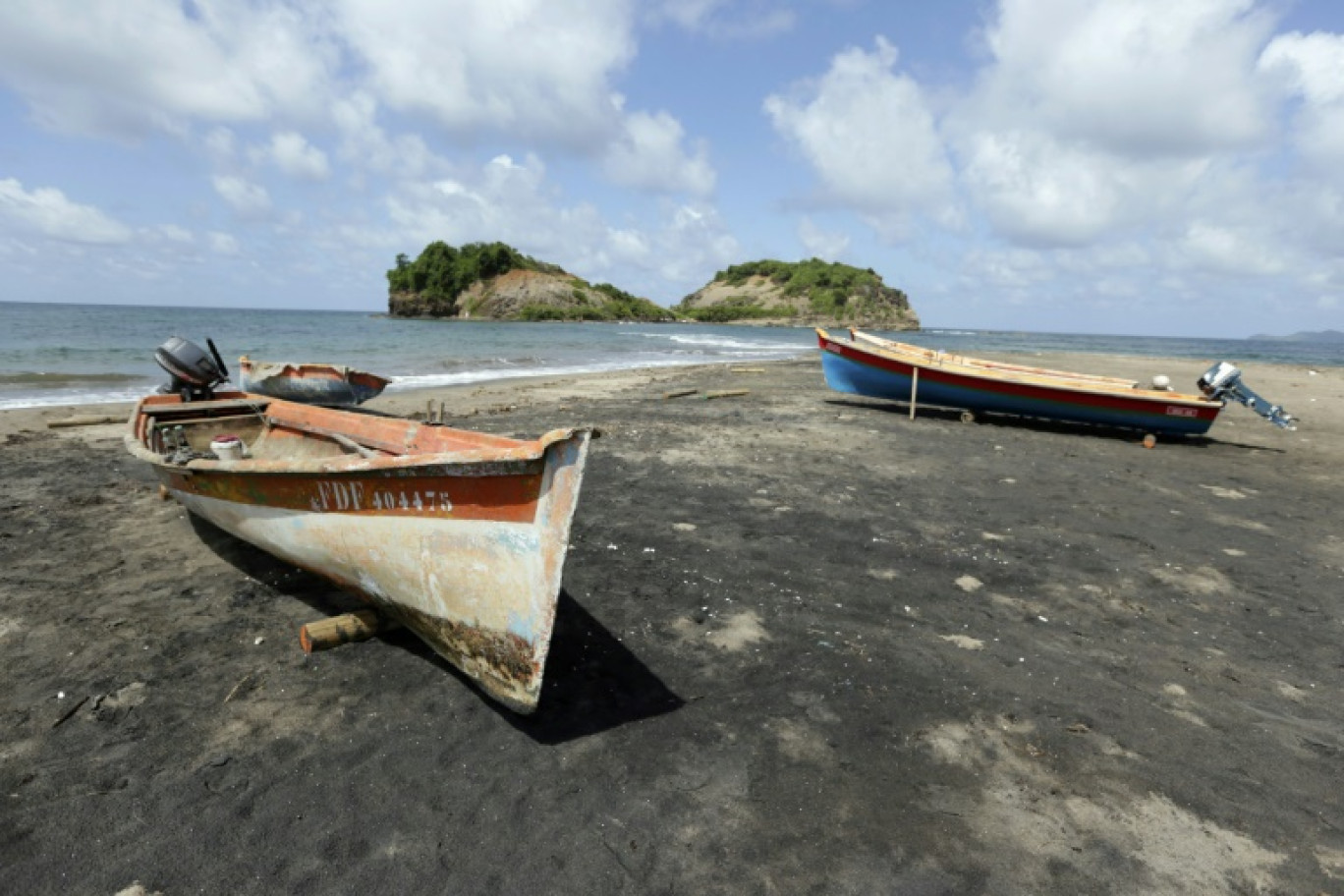 Aux Antilles, la pollution au chlordécone, pesticide utilisé pendant plus de vingt ans, a limité voire interdit la pêche dans de vastes zones © KENZO TRIBOUILLARD