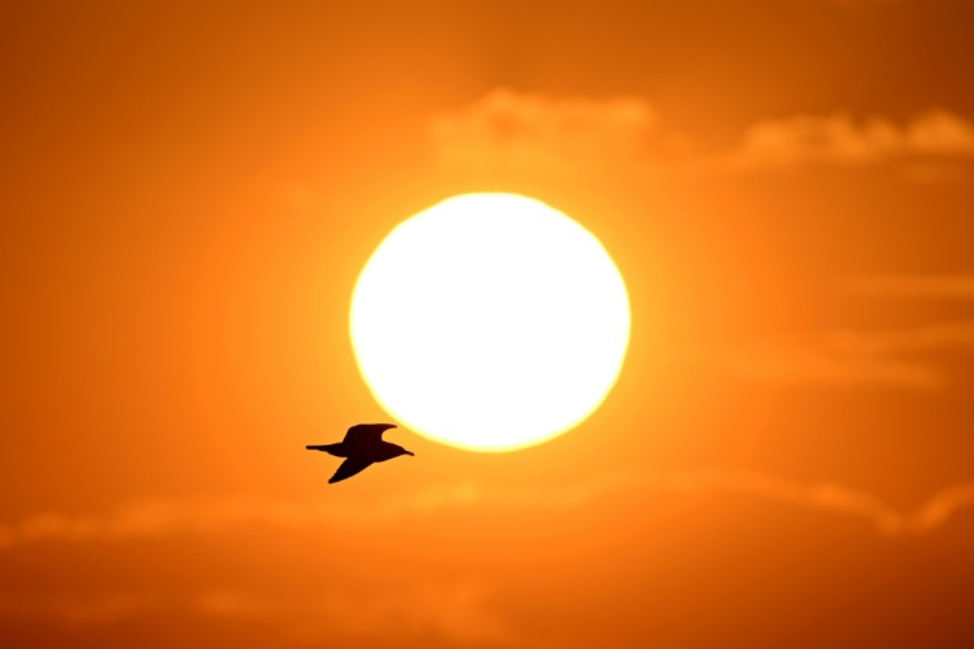 Des températures plus chaudes que la normale sur la France constituent le scénario le "plus probable" pour cet été, en particulier en Corse, selon Météo-France © Nicolas TUCAT