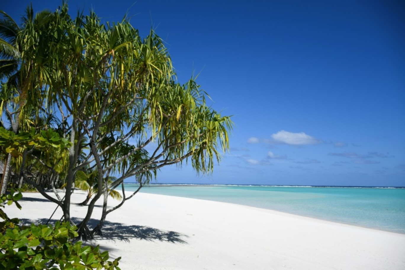 Une plage de l'île privée de Nukutepipi dans l'archipel polynésien des Tuamotu, le 18 juillet 2019 © Mike LEYRAL
