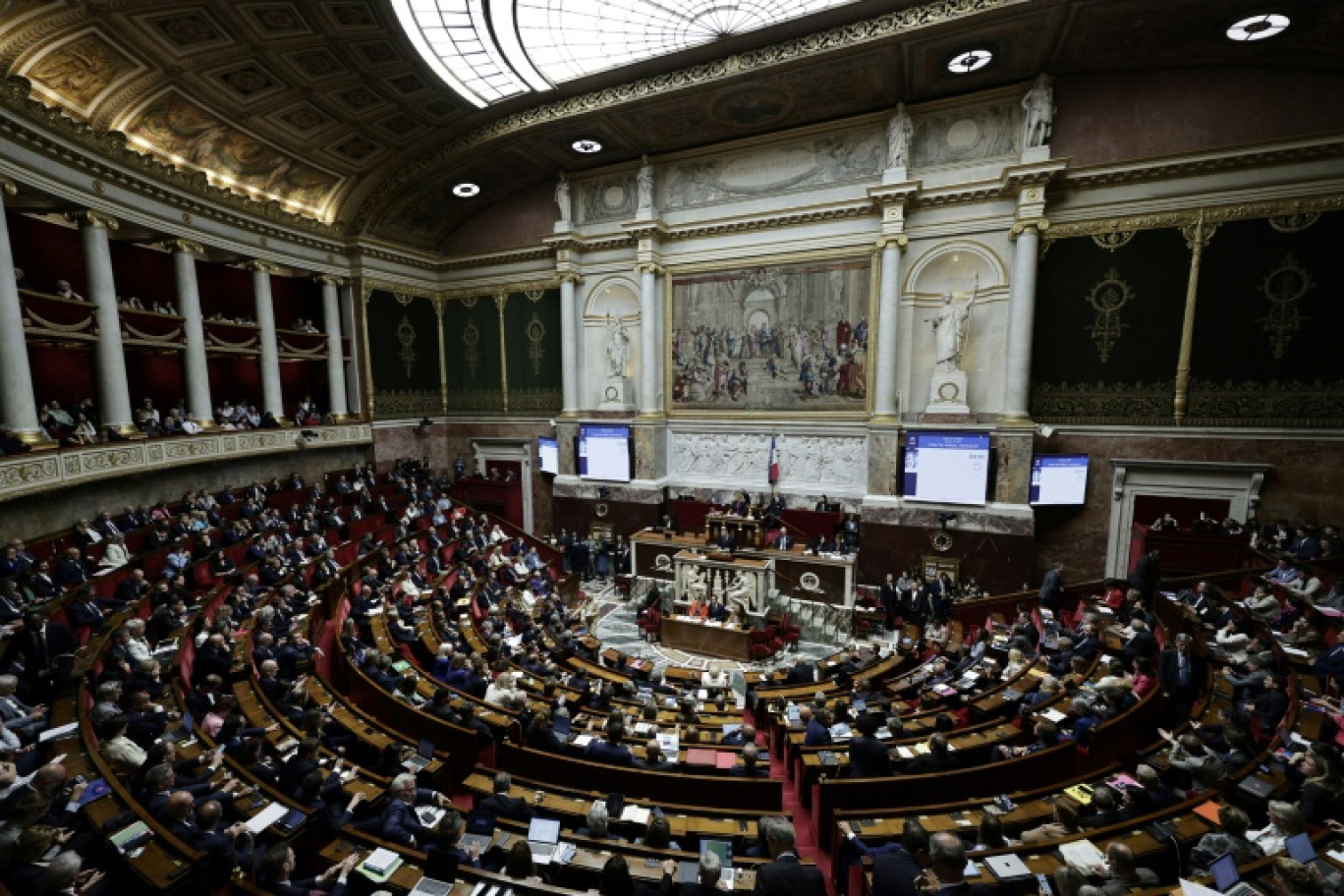 L'Assemblée nationale a voté en première lecture en faveur du "droit à l'aide à mourir" le 27 mai 2025 © STEPHANE DE SAKUTIN