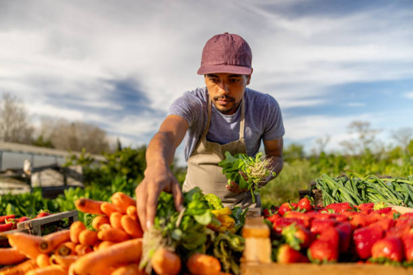 Valoriser le potentiel agricole local.