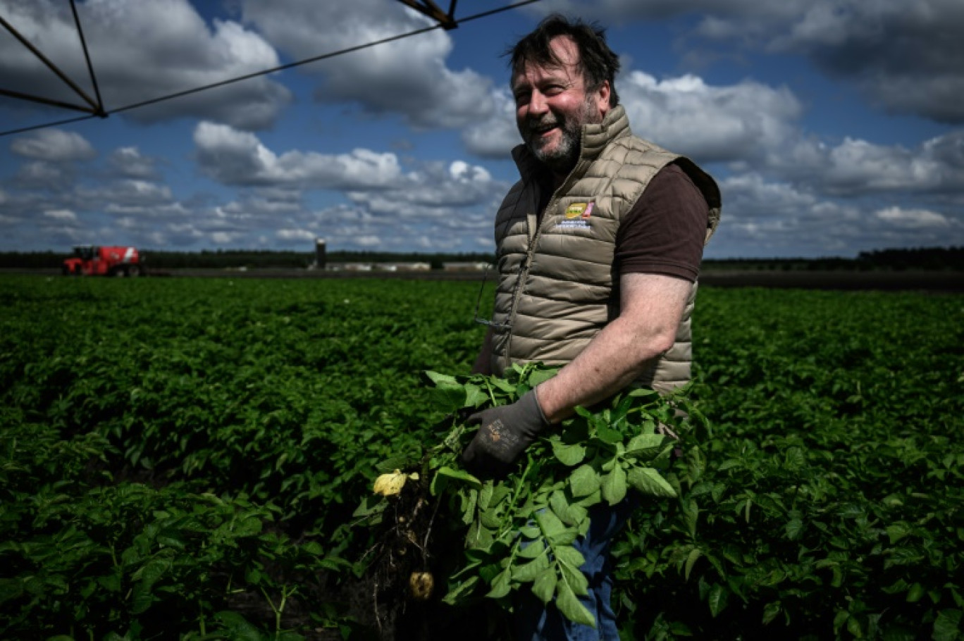 L'agriculteur Samuel Allix dans son champ de pommes de terre le 22 mai 2025 à Saint-Jean-d'Illac, en Gironde © Philippe LOPEZ