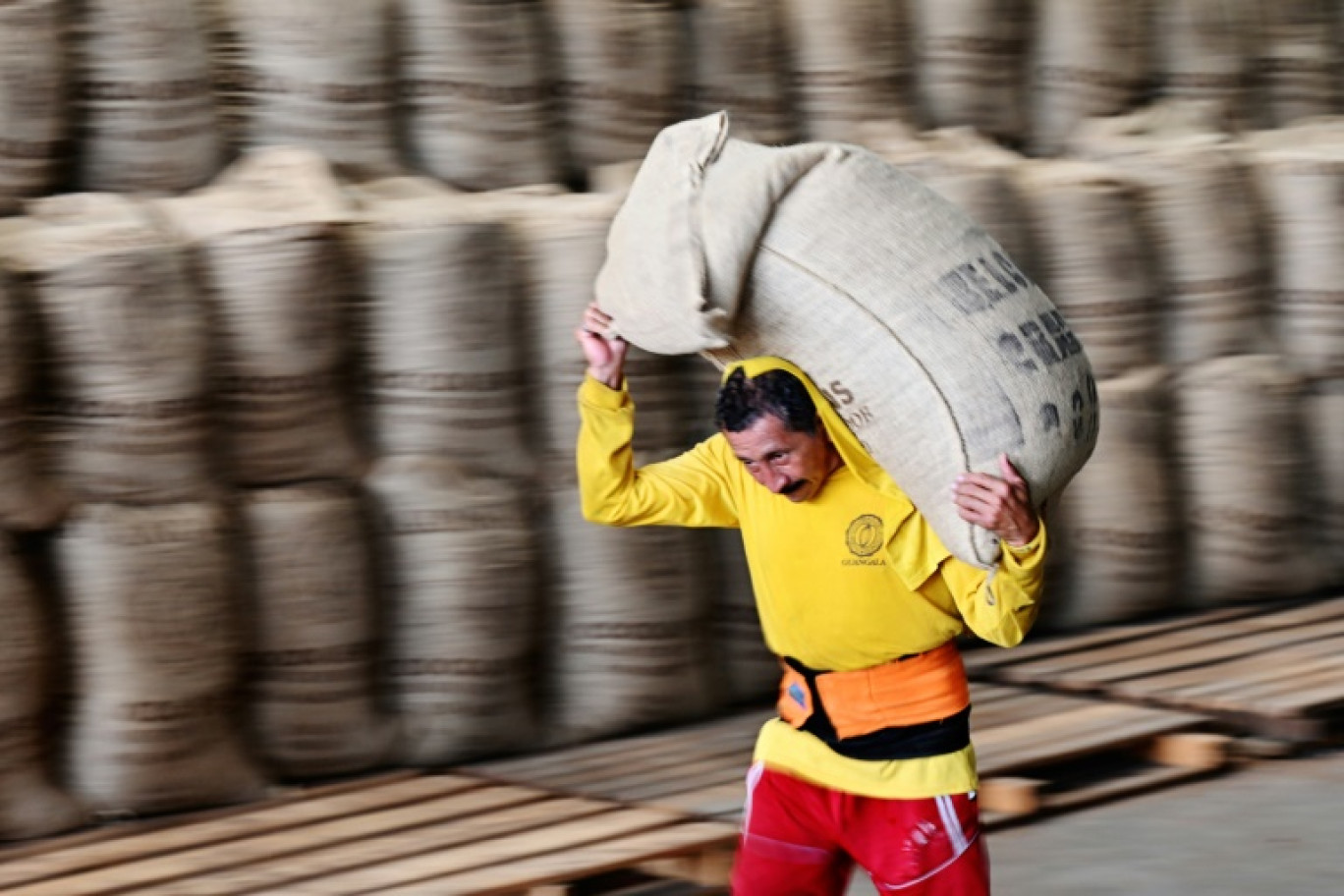 Un employé charge un sac de cacao dans un conteneur pour l'exportation, à Guayaquil, en Equateur, le 20 mai 2025 © MARCOS PIN