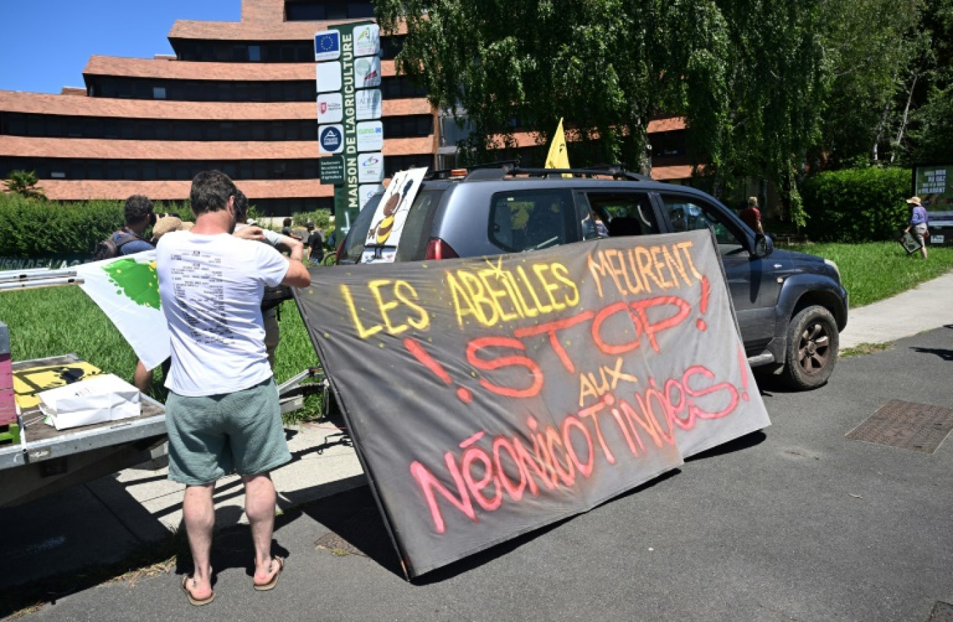 Manifestation contre la loi Duplomb à Pau, dans les Pyrénées-Atlantiques, le 28 juin 2025 © Gaizka IROZ