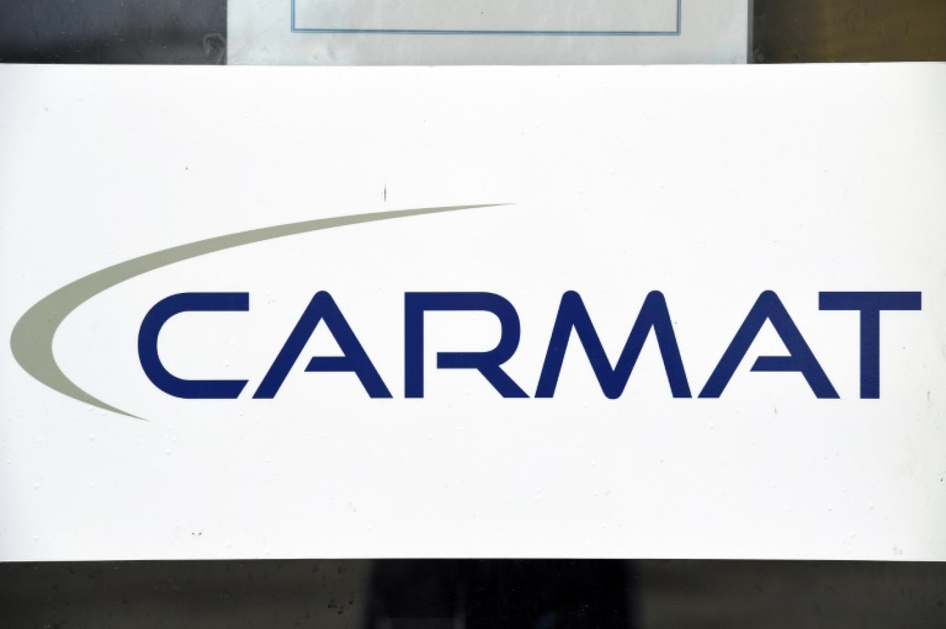 Créée en 2008, Carmat avait expliqué devoir rassembler au moins 3,5 millions d'euros d'ici au 30 juin © BERTRAND GUAY