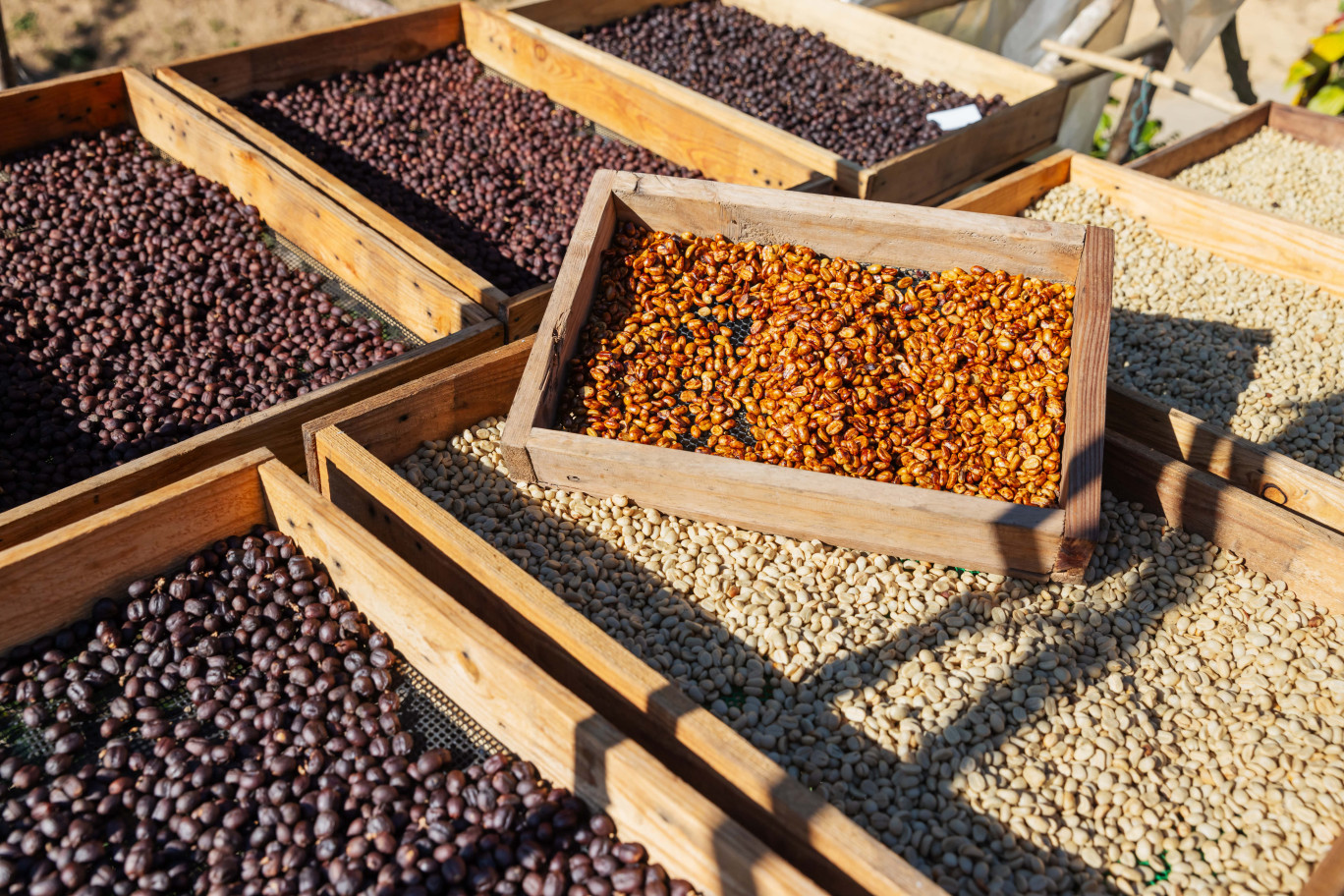 En dix ans, les ventes de produits issus du commerce équitable ont été multipliées par cinq. © Kamonrat