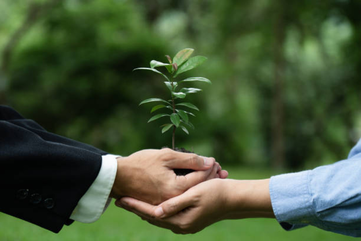 Générer une synergie environnementale territoriale.