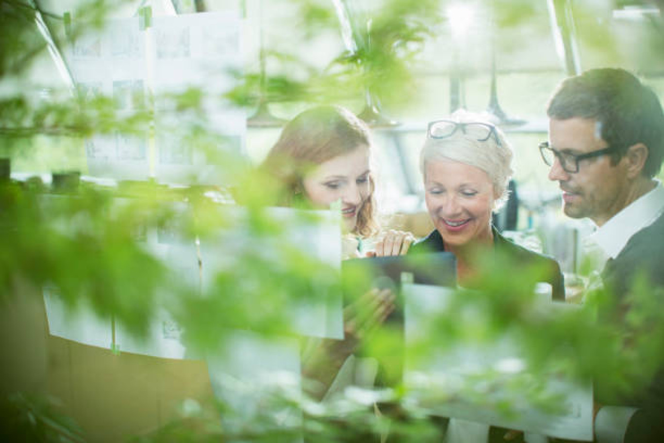 Accompagner les porteurs de projets innovants.