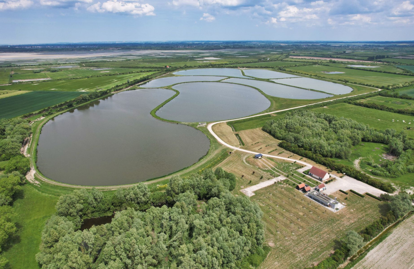 Le lagunage le plus grand des Hauts-de-France. © Guillaume Cugier