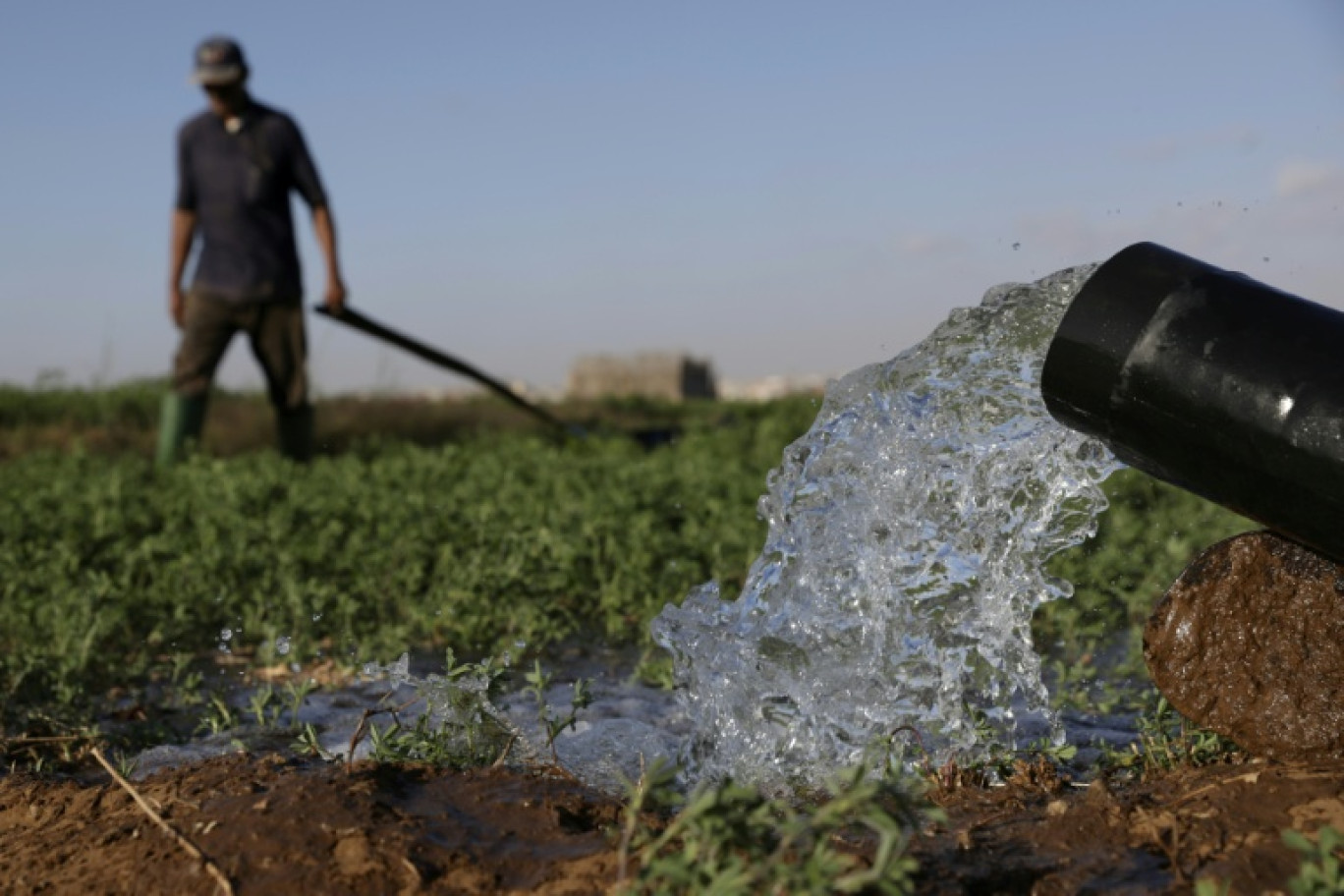Des agriculteurs irriguent leur champ dans la plaine de Chtouka, au sud d'Agadir, le 13 mai 2025 © Abdel Majid BZIOUAT