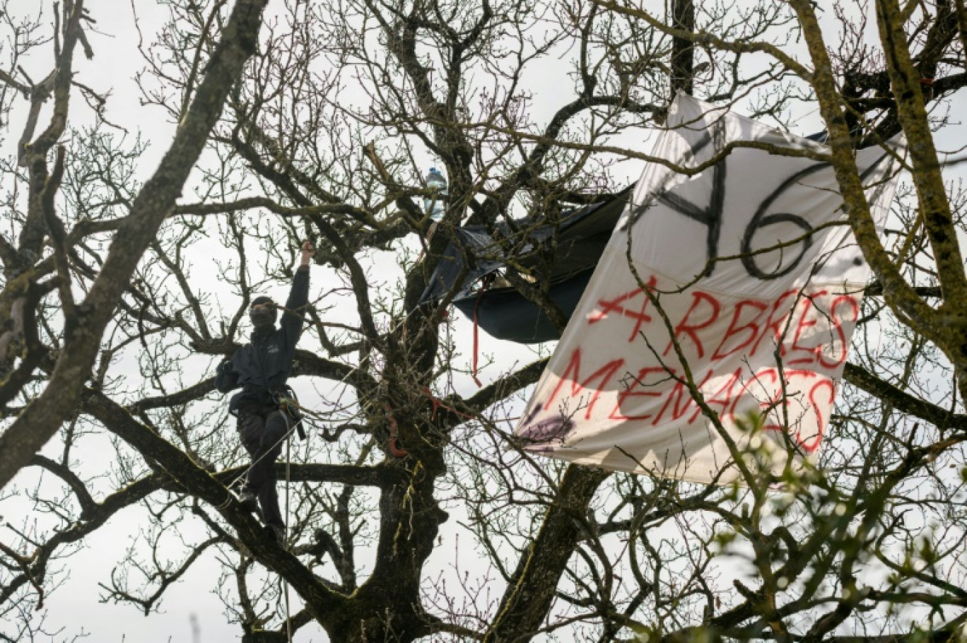 Des défenseurs de l'environnement dans un arbre sur le tracé de l'A69, à Castres, le 27 février 2025 © Ed JONES