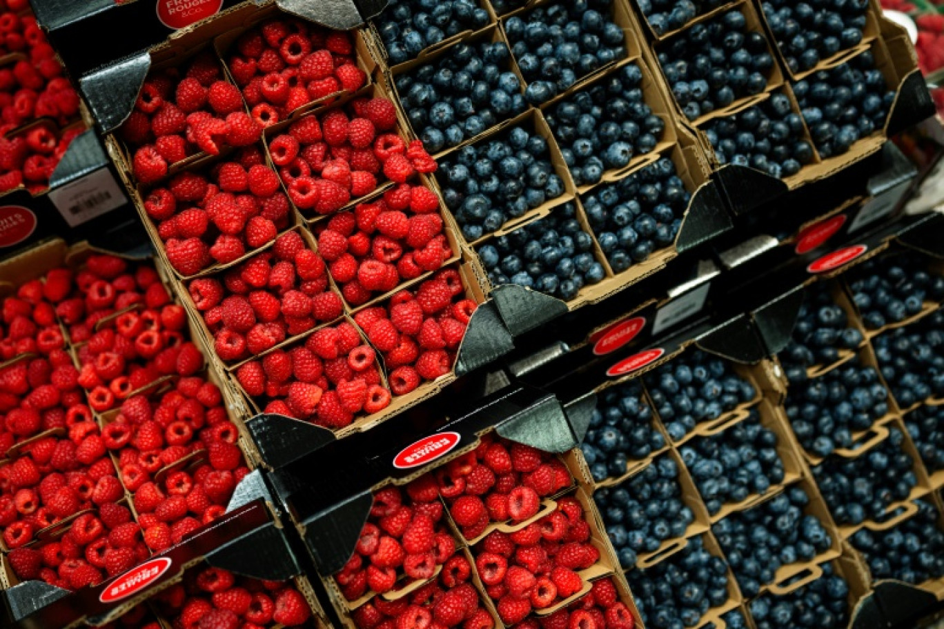 Un grossiste de Dordogne, poursuivi pour avoir frauduleusement étiqueté "origine France" des fruits produits à l'étranger, condamné à un an de prison avec sursis et 50.000 euros d'amende © Dimitar DILKOFF