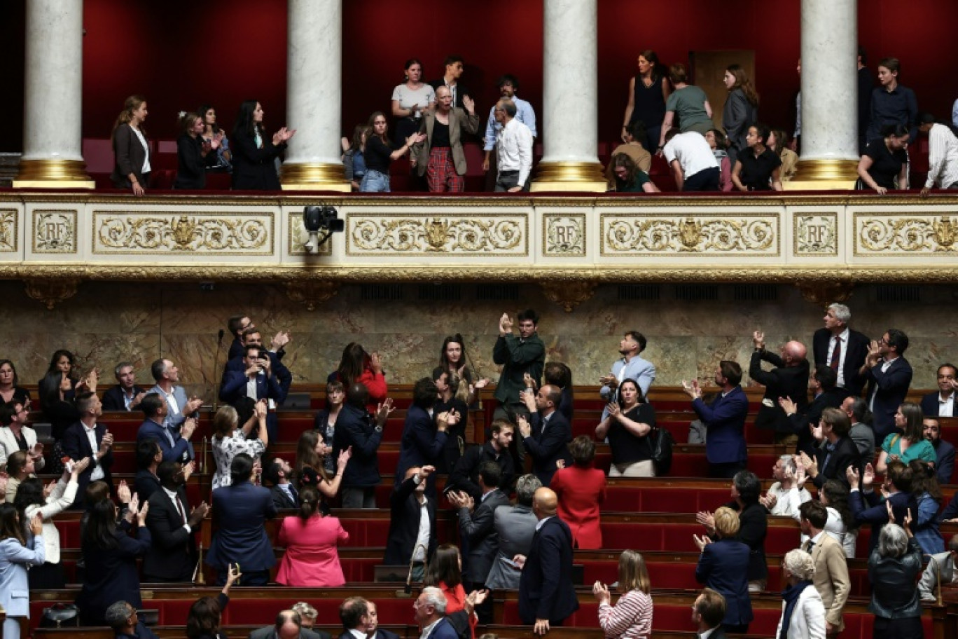 Fleur Breteau, membre du collectif Cancer Colère, intervient depuis la tribune réservée au public, à l'Assemblée nationale (en haut au centre), pour protester contre le vote de la loi "Duplomb", le 8 juillet 2025 © Guillaume BAPTISTE