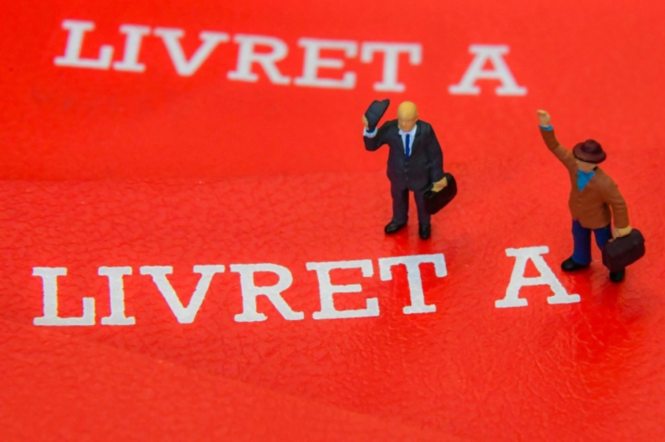 Le taux du Livret A et du Livret de développement durable et solidaire (LDDS) va baisser de 2,4% à 1,7% vendredi 1er août © DENIS CHARLET