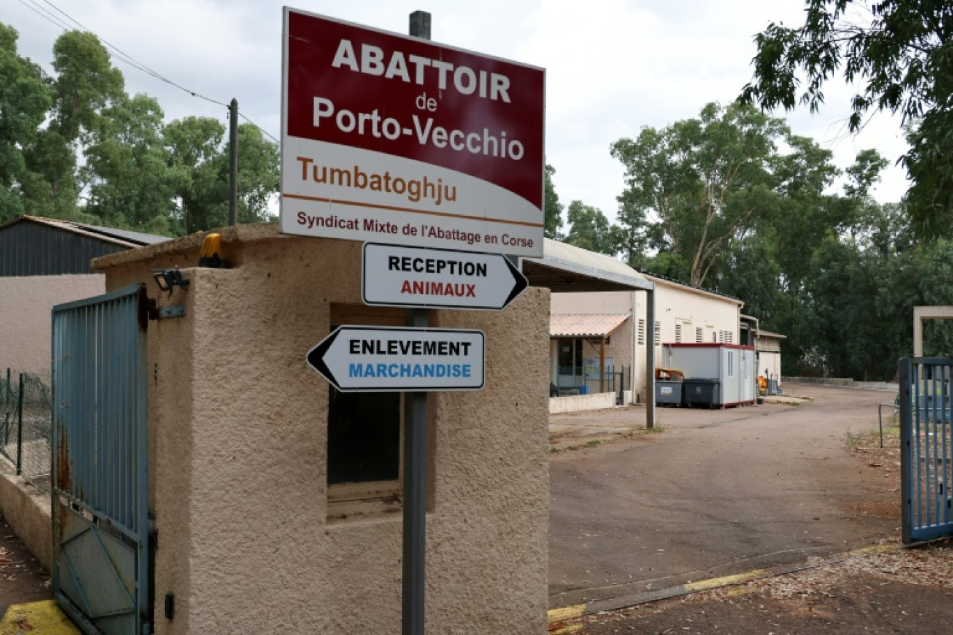 L'abattoir public multi-espèces de Porto-Vecchio en Corse, le 30 juillet 2025 © STRINGER