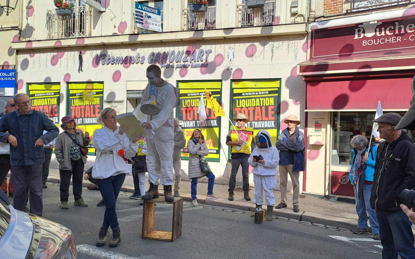 Les apiculteurs se sont mobilisés à Laon. (c) Thierry Delerot et Brigitte Fournié-Turquin