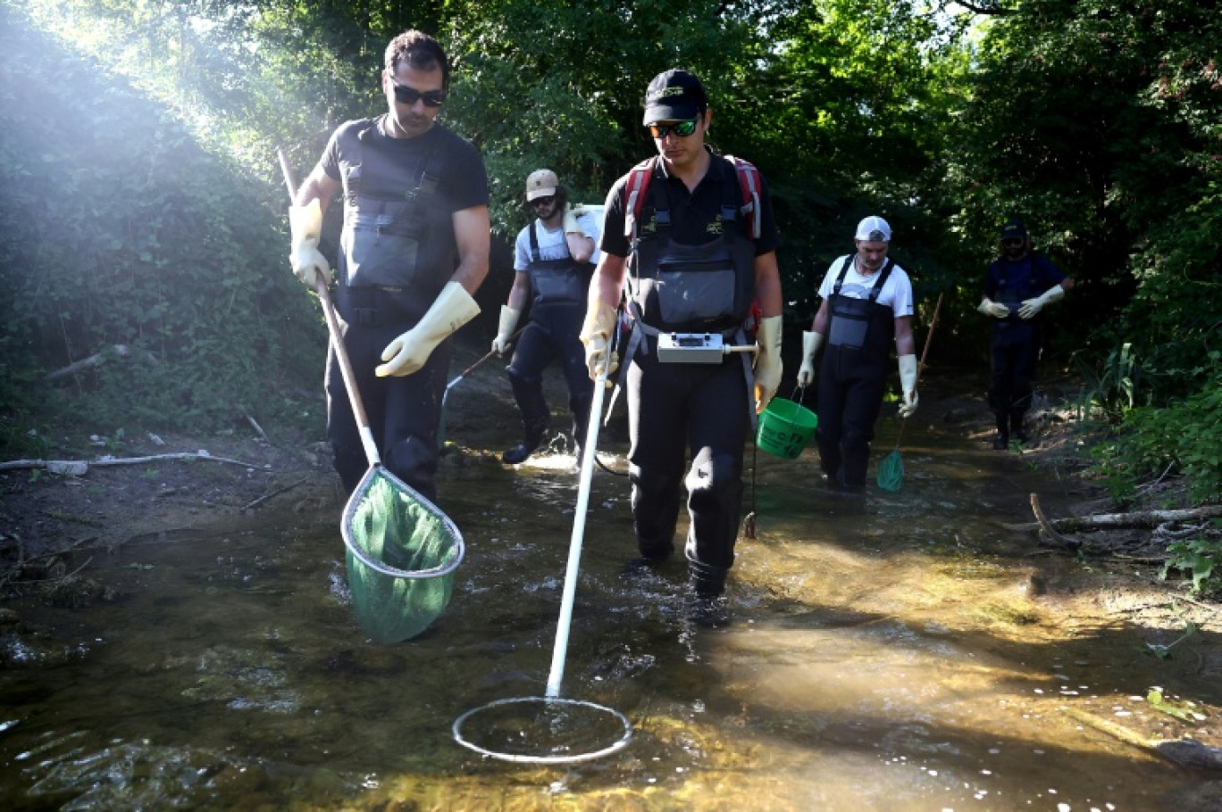 Des membres de la fédération de pêche de Charente recherchent dans le lit presque asséché de la rivière Nouère des poissons encore vivants à transférer dans la Charente, plus remplie, le 31 juillet 2025 © ROMAIN PERROCHEAU