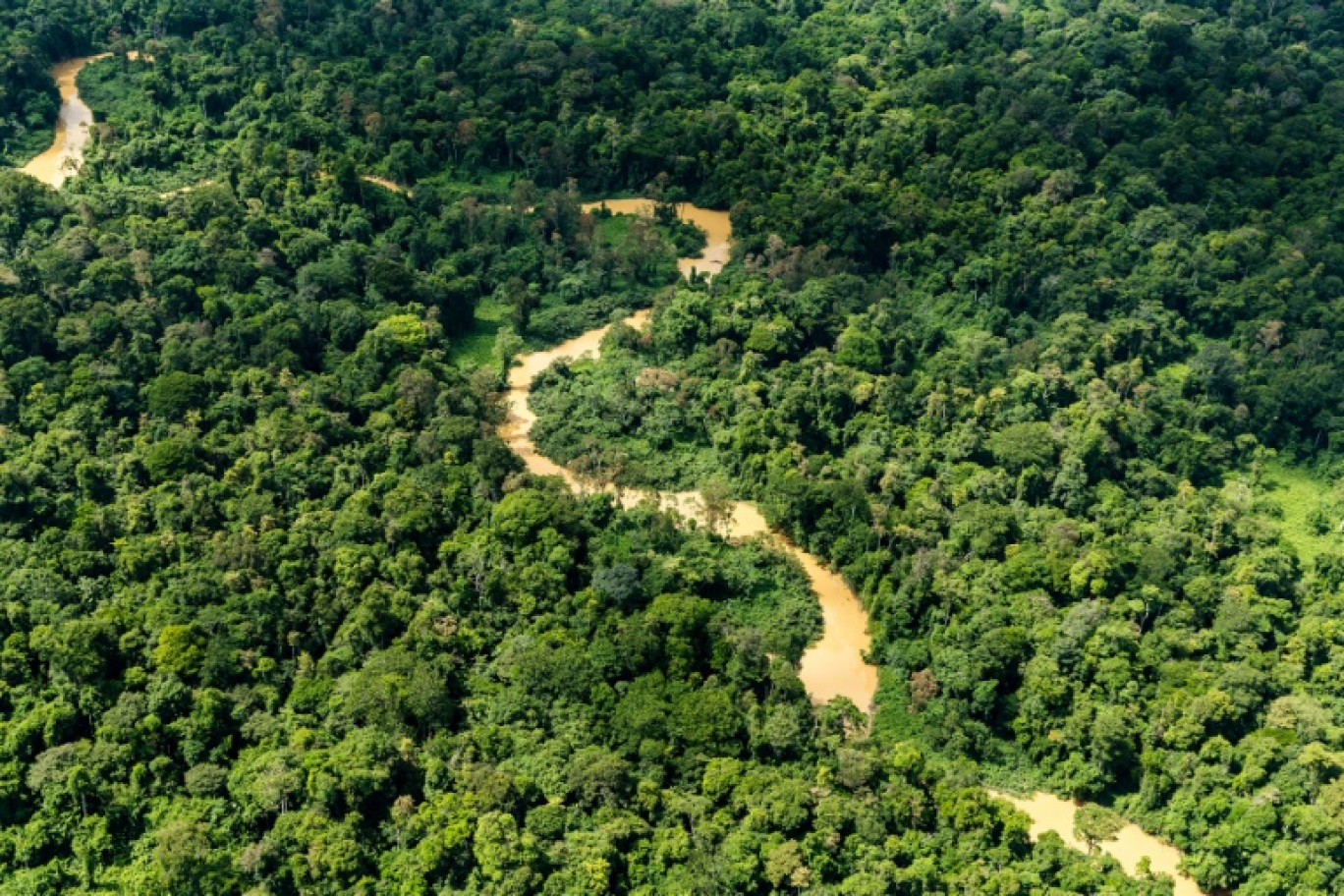 Vue aérienne de la forêt amazonienne, le 12 octobre 2017, en Guyane française © Jody AMIET