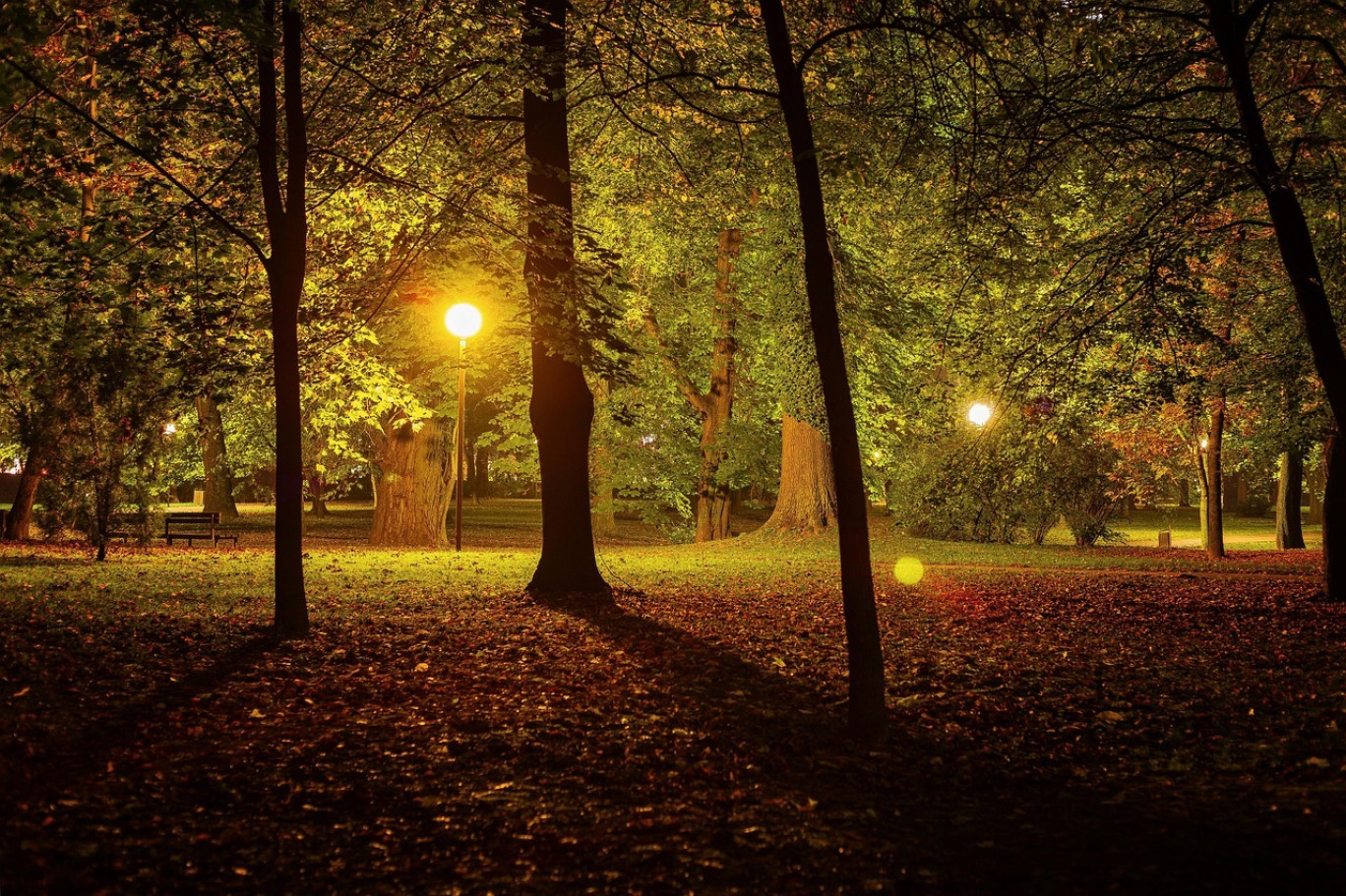 © Creative Commons