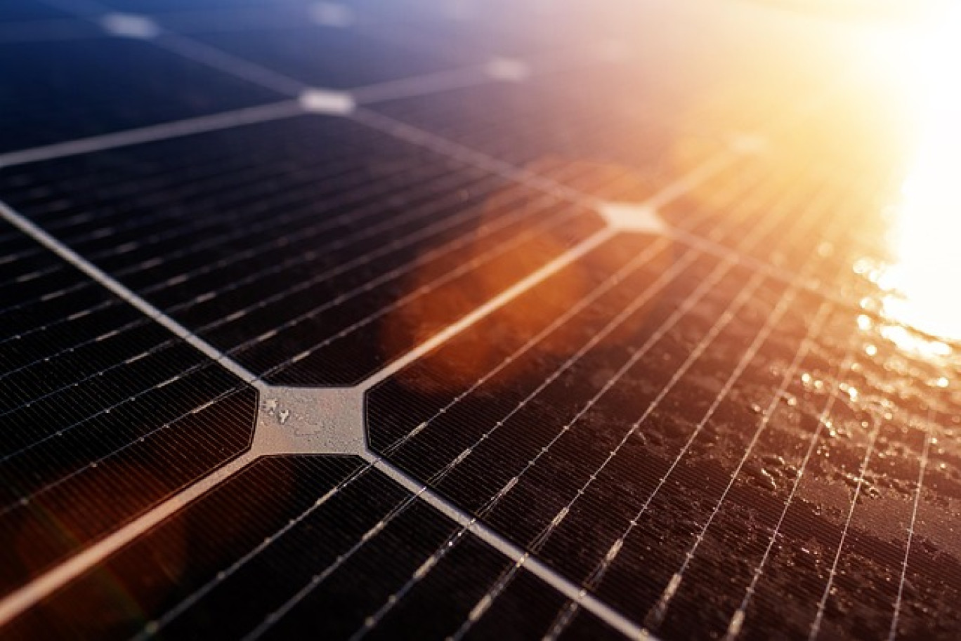 Dans cette quête d'énergies alternatives et vertueuses, les centrales photovoltaïques poussent sur nos territoires.