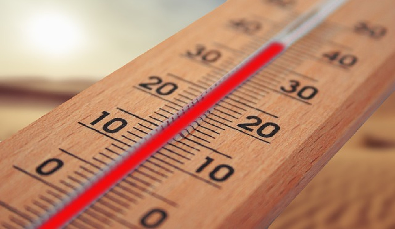 S'adapter aux effets du changement climatique. 