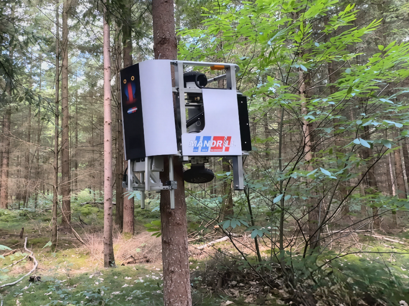 Derisys a imaginé une machine pour élaguer la cime des résineux et ainsi permettre aux acteurs forestiers de disposer d’un produit de plus grande qualité. © Derisys