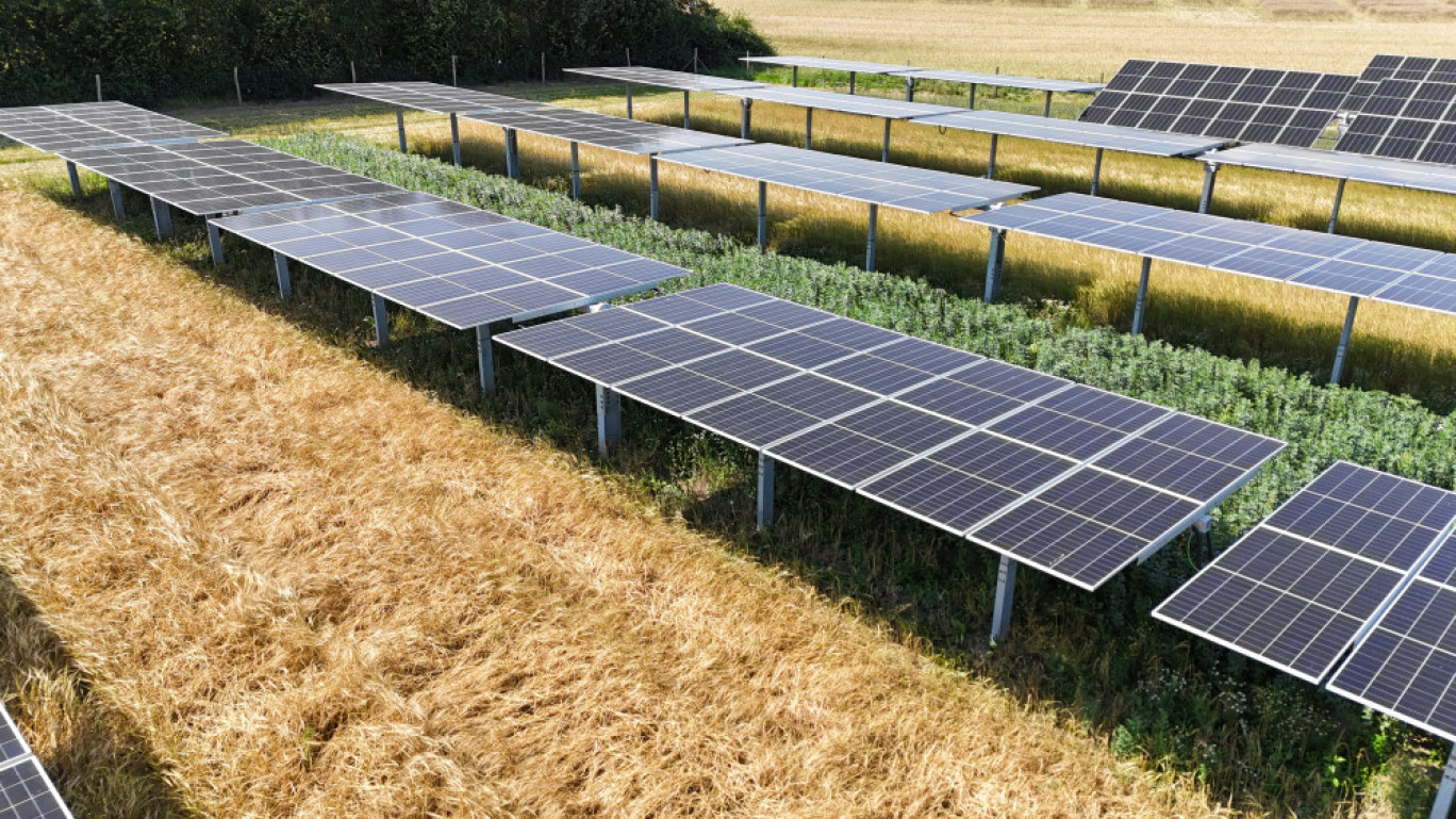 Production solaire et activité agricole cohabitent pour un développement durable. © European Energy