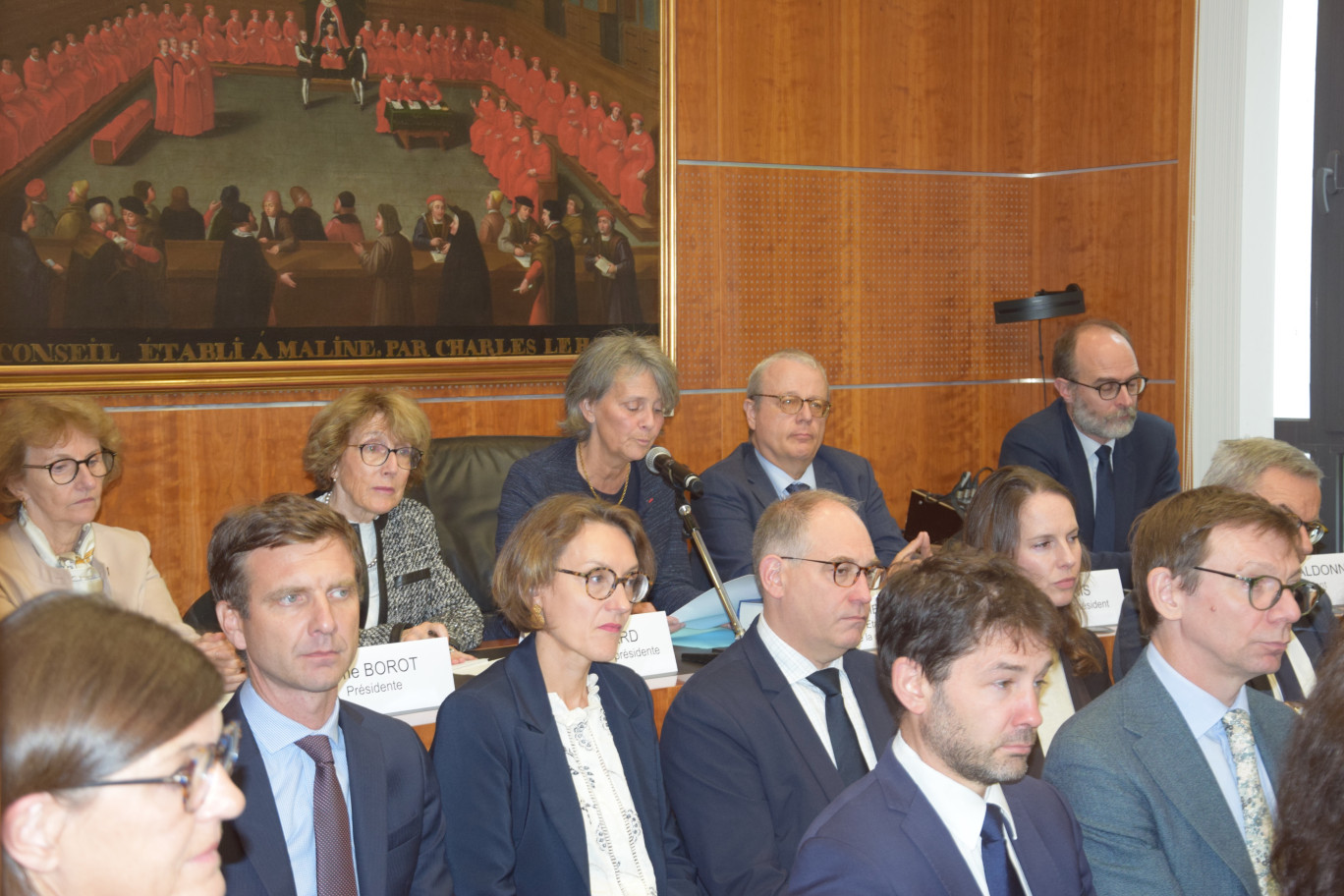 Geneviève Verley-Cheynel, présidente de la cour administrative d’appel de Douai. 