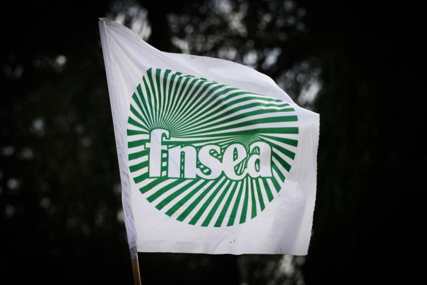 La première alliance syndicale agricole FNSEA-Jeunes Agriculteurs appelle ses troupes à se mobiliser jeudi et vendredi, contre les importations "aberrantes" qui minent selon elle l'agriculture française © LOIC VENANCE