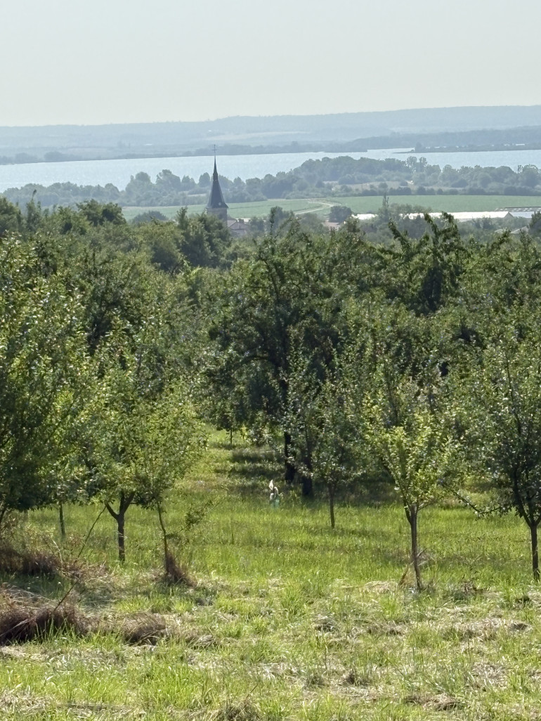 © Alexandra MARQUET. Vue d'un village à proximité du lac de Madine.