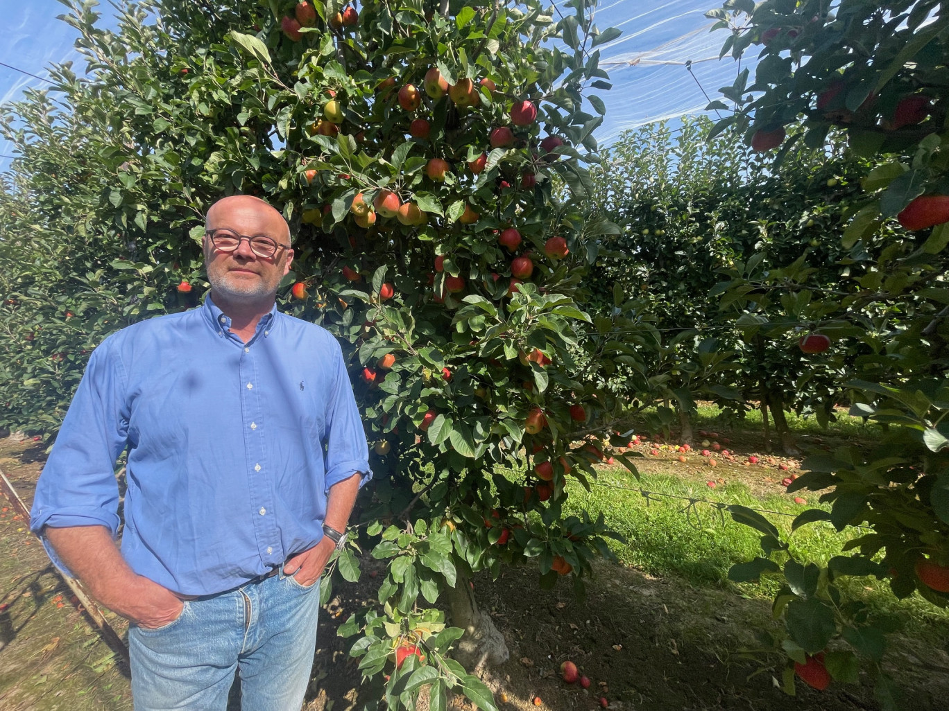 Arboriculteur depuis 1980, Antoine Vanoy fait partie de ces producteurs engagés, installé à Fresnes-Mazencourt en 1996.