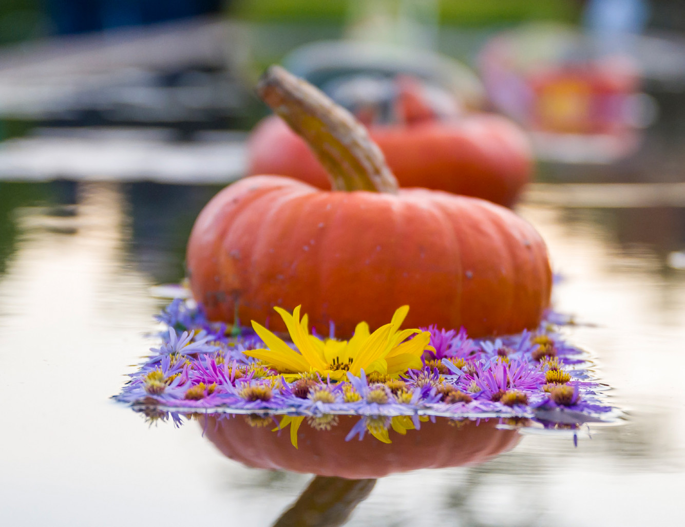 © Jardins fruitiers. Immersion dans la nature automnale dans les jardins de Laquenexy.